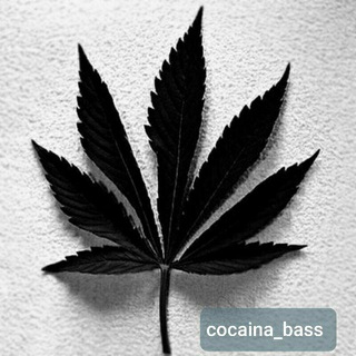 Telegram kanalining logotibi b_cocaina_bass — ☘️Cocaina_bass