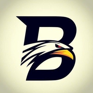 Telegram channel BAAZIGAR THE BRAND™🔱 logo