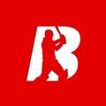 Telegram channel Baazigar Cricket Export logo