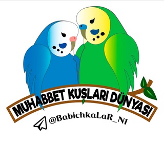 Логотип телеграм канала @babichkalar_n1 — Radujniki / Babichka