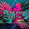 Логотип телеграм канала @babkiplants — Бабкины цветы