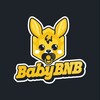 Logo of telegram channel babybnbofficialchannel — BABY BNB | OFFICIAL CHANNEL
