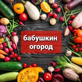 Логотип телеграм канала @babyskin_ogorod — Бабушкин огород