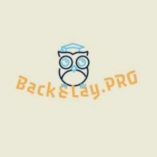 Логотип телеграм канала @backandlaypro — BackandLay.Pro