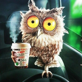 Logo des Telegrammkanals backsideukraine - Меми українською - Зворотній бік