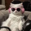شعار قناة تلجرام bad_vibes0 — لـِ بـُراق