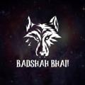Logo saluran telegram badshah77777777 — TIGER KING 🏆💪💪💪