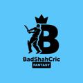 Logo saluran telegram badshahcricfantasy — BadShahCric FANTASY