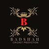 टेलीग्राम चैनल का लोगो badshahpridictions — Badshah Pridictions