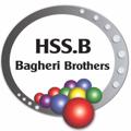 Logo saluran telegram bagheri_brothers — فروشگاه برادران باقري