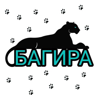 Логотип телеграм канала @bagira_brd — 🐾БагираBRD | ЗООМАГАЗИН🐾