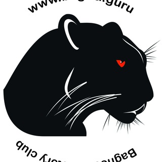 Логотип телеграм канала @bagiraguru — Багира Гуру