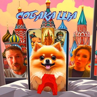 Логотип телеграм канала @bahmutdog — Собака Ша