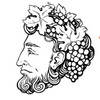 Logo of telegram channel bahushouse — BahusHouse