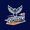Логотип телеграм канала @baikalsky_sokoly — ХК «Байкальские Соколы»