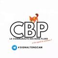 Logo saluran telegram balancetonscam — ⚠️❌𝗦𝗖𝗔𝗠 𝗔𝗟𝗘𝗥𝗧𝗘❌⚠️