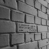 Логотип телеграм канала @balashixalovevsex — балашиха любит🚩