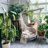 Логотип телеграм канала @balconygardener — Балконный садовод