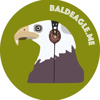 Логотип телеграм канала @baldeagle_music — Лысый орел
