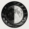 Telegram kanalining logotibi baldgerman — 15🌓15