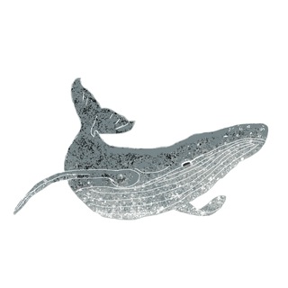 Logo del canale telegramma baleneinvolo - Balene in volo