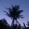 Логотип телеграм канала @bali_soncheztrip — soncheztrip >> bali