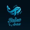 Logo of telegram channel balinavcisi — Balina Avcısı