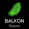 Логотип телеграм канала @balkontom — Цветы Томск / БАЛКОН