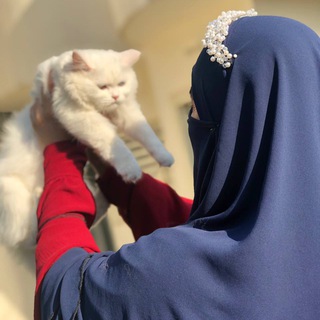 Telegram channel القران الكريم 🤍! logo