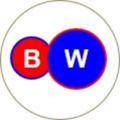 Telegram channel BALTISCHE WELLE logo