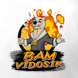 Логотип телеграм канала @bam_vidosik — Bam vidosik
