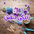 لوگوی کانال تلگرام banafshz — زندگی بنفش