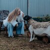Логотип телеграм канала @bananamammmahome — bananamammma home