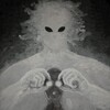 Логотип телеграм канала @banda_kotaa — Банда кота