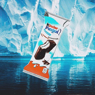 Логотип телеграм канала @bandikpromo — kinder pengui | best gifts