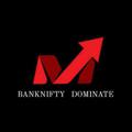 Logo saluran telegram bankniftydominate — BANKNIFTY_DOMINATE📊