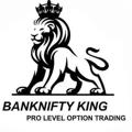 Logotipo del canal de telegramas bankniftyking5 - Banknifty king