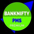 Logo del canale telegramma bankniftypmspremium - Bank Nifty PMS
