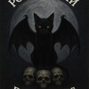 Логотип телеграм канала @bannynya — 🖤 Розыгрыши от Fallen Cats & Xfight 🖤