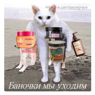 Логотип телеграм канала @banoshnaya — Баночки мы уходим