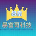 电报频道的标志 baofugekeji1688 — 暴富哥搭建丨搭建微盘丨定制app丨二次开发丨