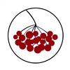 Логотип телеграм канала @bar_kalinka — Калинка Бар 🍷