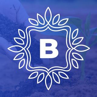 Логотип телеграм канала @barakabiogumus — Baraka Biogumus | Channel
