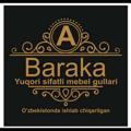 Логотип телеграм канала @barakagul — Barakagul баракагул
