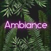 Логотип телеграм канала @barambiance — AMBIANCE
