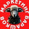 Логотип телеграм канала @barashkov_d — Маркетинг Барашков