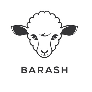 Логотип телеграм канала @barashstore — BARASHSTORE | ДЕТСКАЯ ОДЕЖДА
