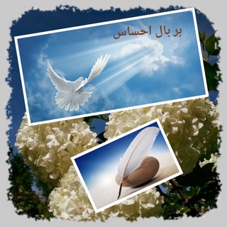 لوگوی کانال تلگرام barbaleehsas — بر بال احساس