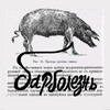 Логотип телеграм канала @barbolezn — барболезнь