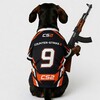 Логотип телеграм канала @barboscs2 — БАРБОС | Counter Strike 2